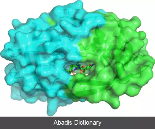 عکس فوسامپرناویر