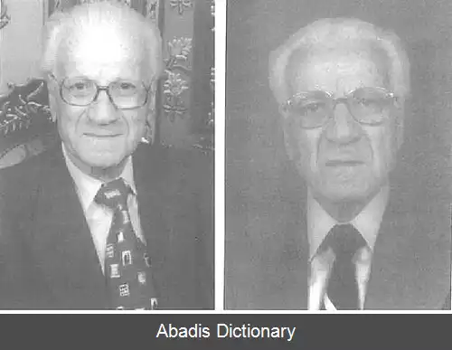 عکس سید حسن امین عاملی