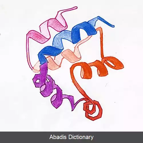 عکس دومین مجری مرگ