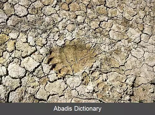 عکس رد پینه پا