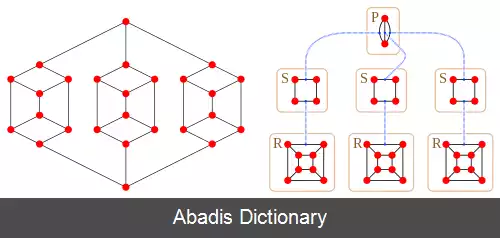 عکس درخت اس پی کیوآر