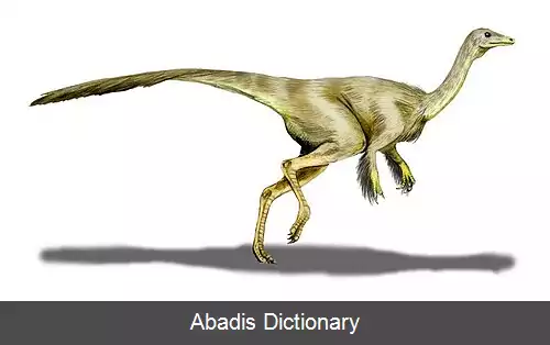 عکس استروتیومیموس