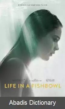 عکس زندگی در تنگ ماهی