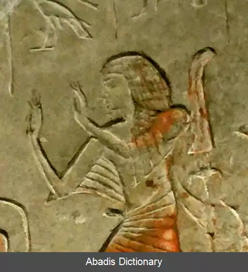 عکس ستعو