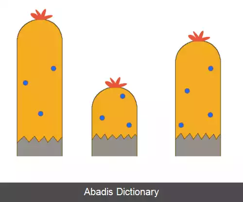 عکس پیمایش اختلاف منظر