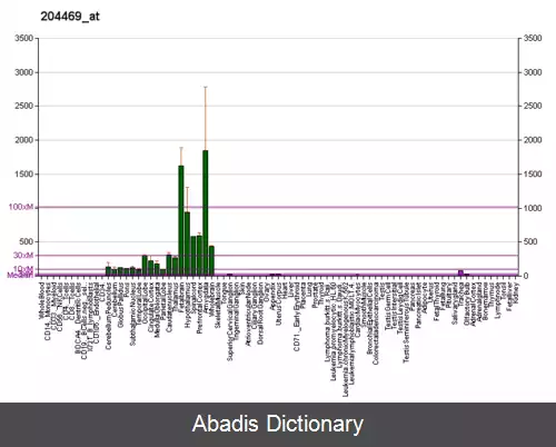 عکس فسفوکان