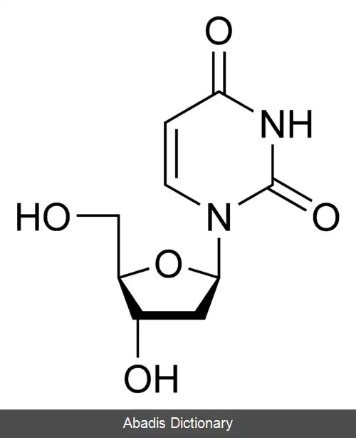 عکس دئوکسی اوریدین
