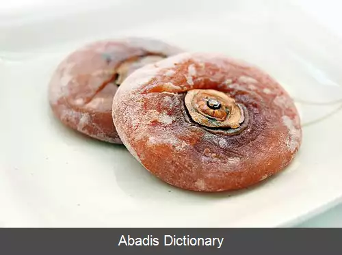 عکس خرمالوی خشک