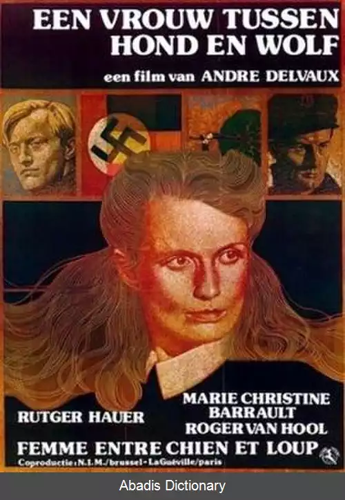 عکس زنی بین گرگ و سگ