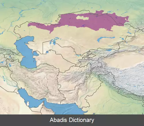 عکس استپ قزاقستان