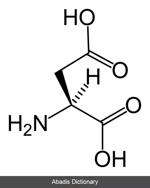 عکس اسید آمینه پروتئین زا