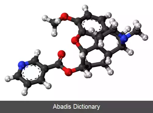 عکس نیکو دی کدین