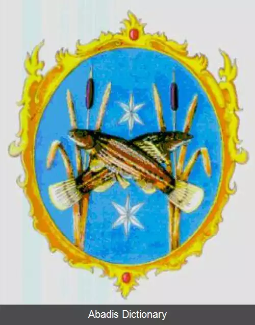 عکس بوشارکانی