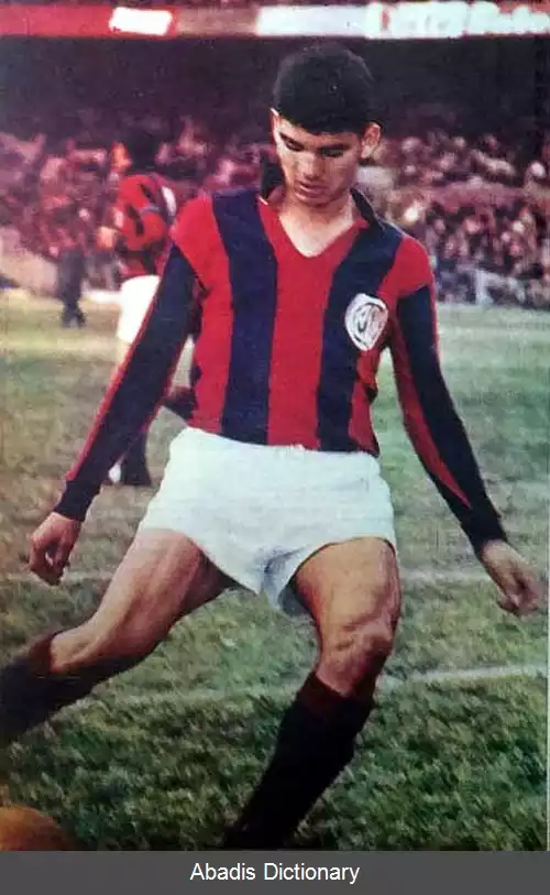 عکس روبرتو تلچ