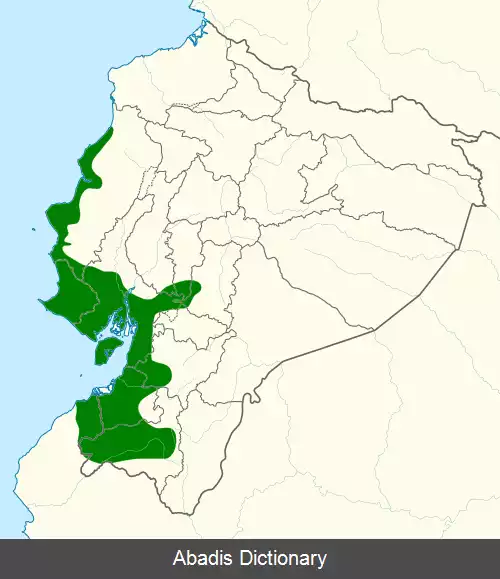 عکس سهره زرد زعفرانی