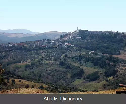 عکس ریپاکاندیدا
