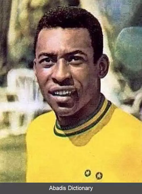 عکس فهرست گل های ملی پله