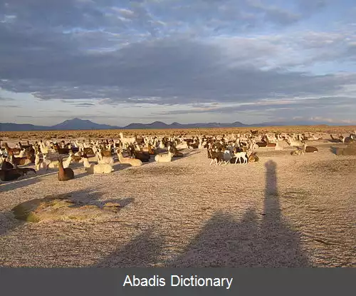 عکس استان لیتورال (بولیوی)