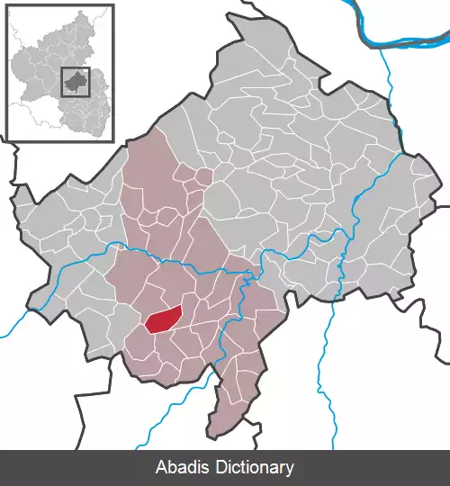 عکس بروایلر