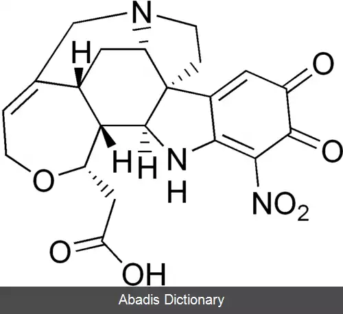 عکس کاکوتلین