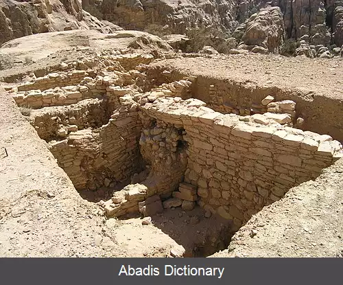 عکس بعجه