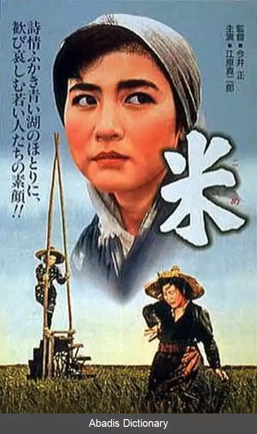 عکس برنج (فیلم ۱۹۵۷)