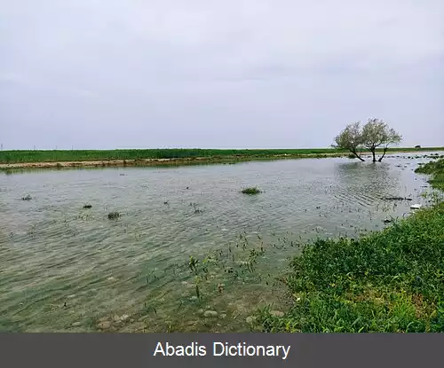 عکس بند محمدعبدالله