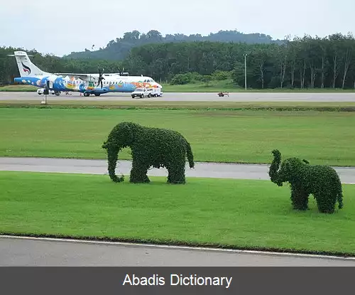 عکس فرودگاه ترات