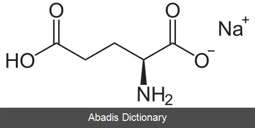 عکس گلوتامات ها