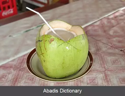 عکس آب نارگیل