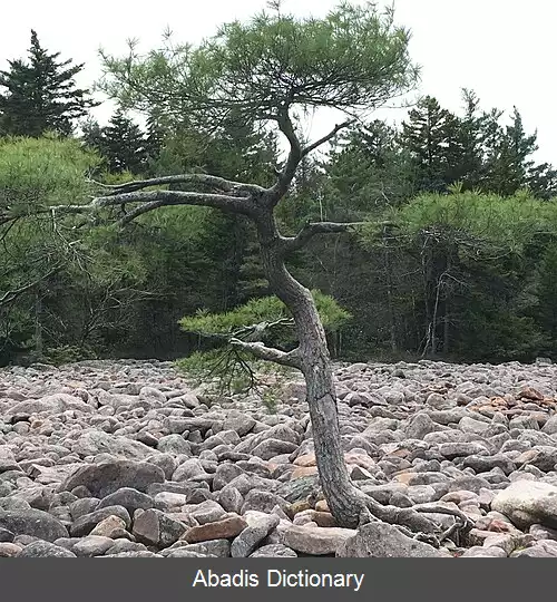 عکس سنگ پهنه
