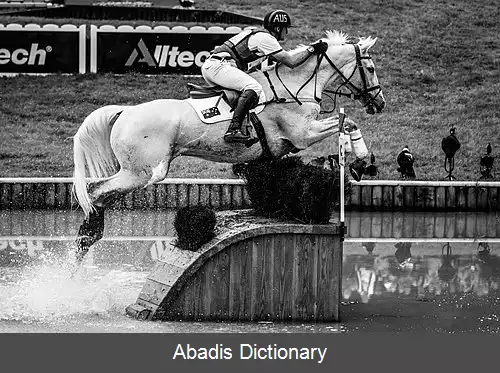 عکس استوارت تینی