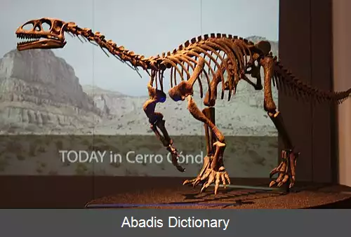عکس لئونراسور