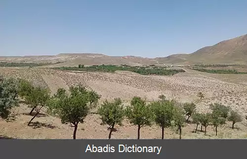 عکس کهن رزان