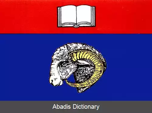 عکس ولکی برنو