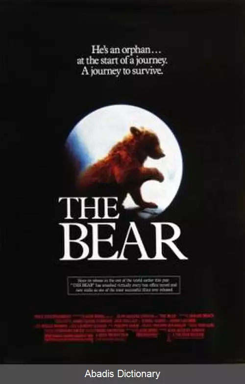 عکس خرس (فیلم ۱۹۸۸)