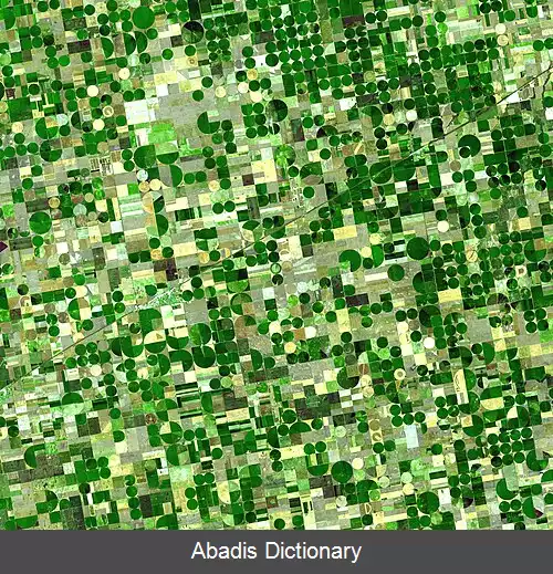 عکس کشاورزی در ایالات متحده آمریکا
