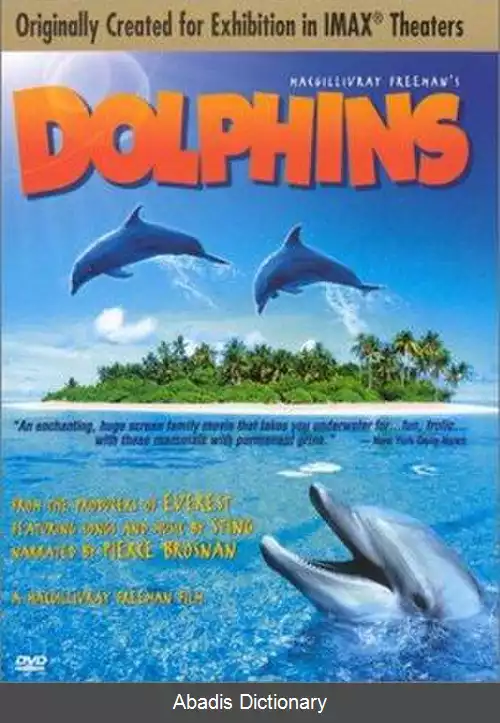 عکس دلفین (فیلم ۲۰۰۰)