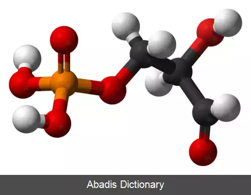 عکس گلیسرآلدئید ۳ فسفات