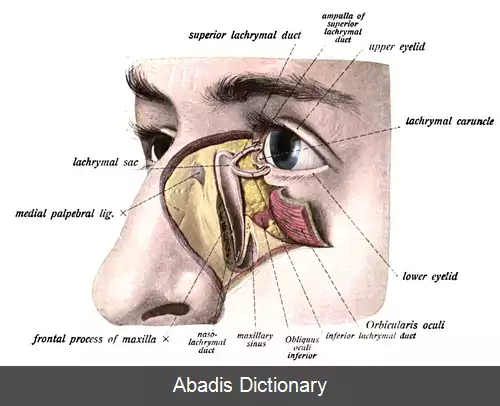 عکس کیسه اشکی