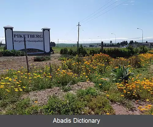 عکس پیکتبرگ