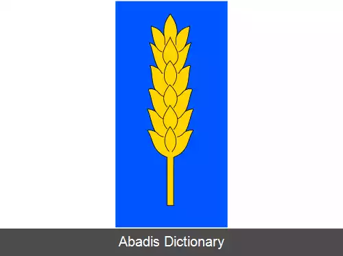 عکس کروکوتشین