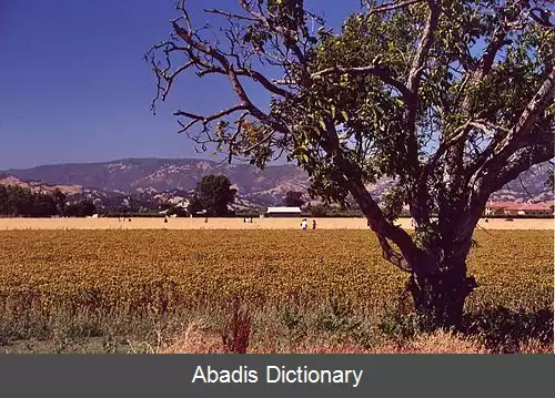 عکس راک ویل کالیفرنیا