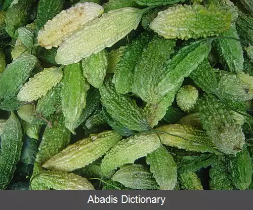 عکس ممردیکا