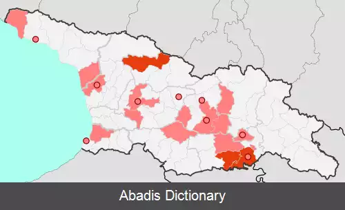عکس دنیاگیری کووید ۱۹ در گرجستان