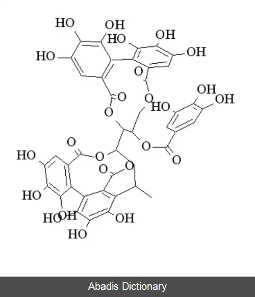 عکس استنوفیلانین ای