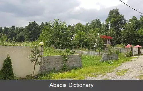 عکس بلویج