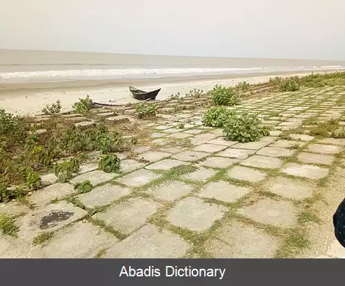 عکس کوآکاتا