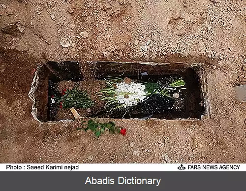 عکس روبرت آودیسیان