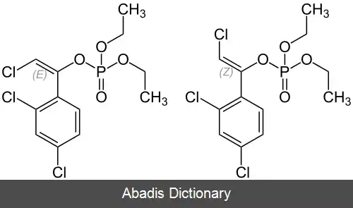 عکس کلرفن وینفوس